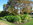 Rotorua Government gardens